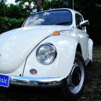 BUSINESS meets CLASSIC (43)